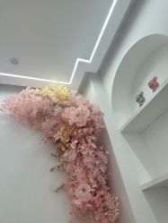 -苗方清颜痘肌研究所