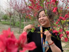 -洪湖家庭农场·团建·露营·会议