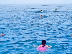 -泊石湾海滨浴场