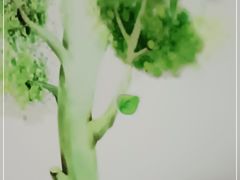 -兰边碗(鼓楼店)