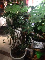 点击看大图 -MONE美发沙龙