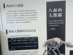 -湖南省地质博物馆