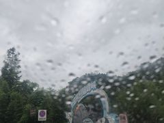 -中国大熊猫保护研究中心雅安碧峰峡基地