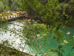 -阿依河景区
