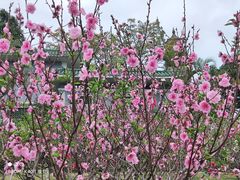 -广州莲花山旅游区