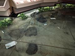 -延庆地质公园博物馆