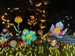 -洋湖国家湿地公园