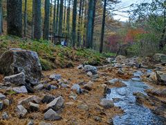 -四明山国家森林公园