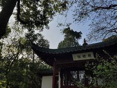 -西泠印社