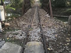 -合肥滨湖国家森林公园