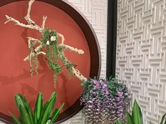 -圆苑(金茂店)