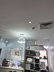 -木棉问题肌·肩颈·纹绣