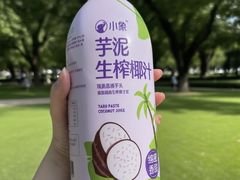 -渌洋湖湿地公园