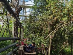 -呀路古热带植物园