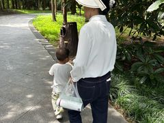 -同里国家湿地公园