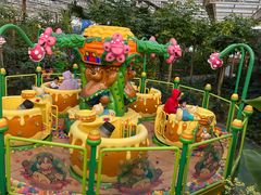 -南宫五洲植物乐园