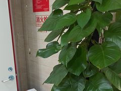 -珠海九龙医院口腔