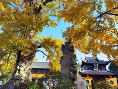 -圆通寺
