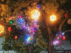 -翊宠yipet猫狗购宠庄园犬舍•猫舍