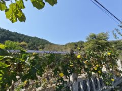 -北京上方山国家森林公园