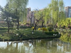 -木塔寺遗址生态公园