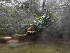 -天目湖涵田半山温泉