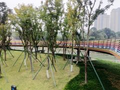 -府河摄影公园