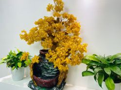 -苗塑堂减肥·艾灸