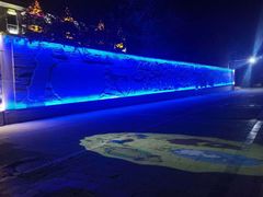 -布尔津河堤夜市