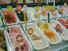 -柠檬车露(卖草地店)