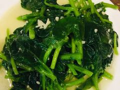 有机木耳菜-鲜小岛·铜锅涮肉