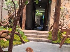-森SPA·泰式按摩·精油Massage(宝安中心店)