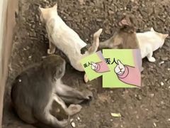 -昆明动物园