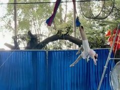 -泉州海丝野生动物世界