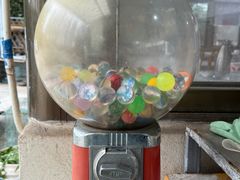 -小六农家乐(崇明西沙湿地店)