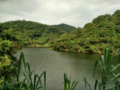 -张氏宽窄巷成都名小吃(茂业百货华强北店)