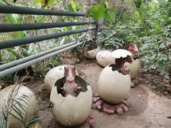 -呀路古热带植物园