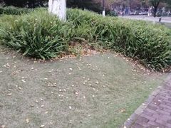 -龙头寺公园
