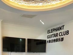-大象音乐·吉他·架子鼓·声乐(双井店)
