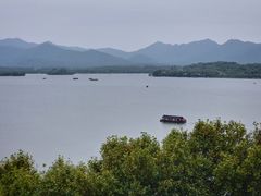 -杭州君悦酒店