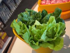 -润园四季椰子鸡火锅(南山海岸城店)