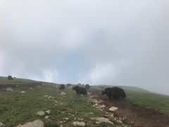 -北京灵山风景区