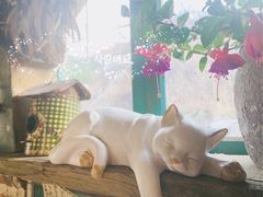 -荒度咖啡(北九水店)