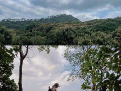 -风云岭森林公园