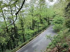 -莫干山风景区