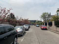 -嘉定紫藤园