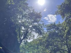 -雅鲁激流探险漂流