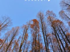 -山王坪喀斯特国家生态公园