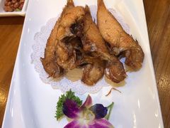 -金穗园·砂锅粥.醉鸡煲火锅(长寿路店)