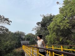-鄱阳湖国家湿地公园